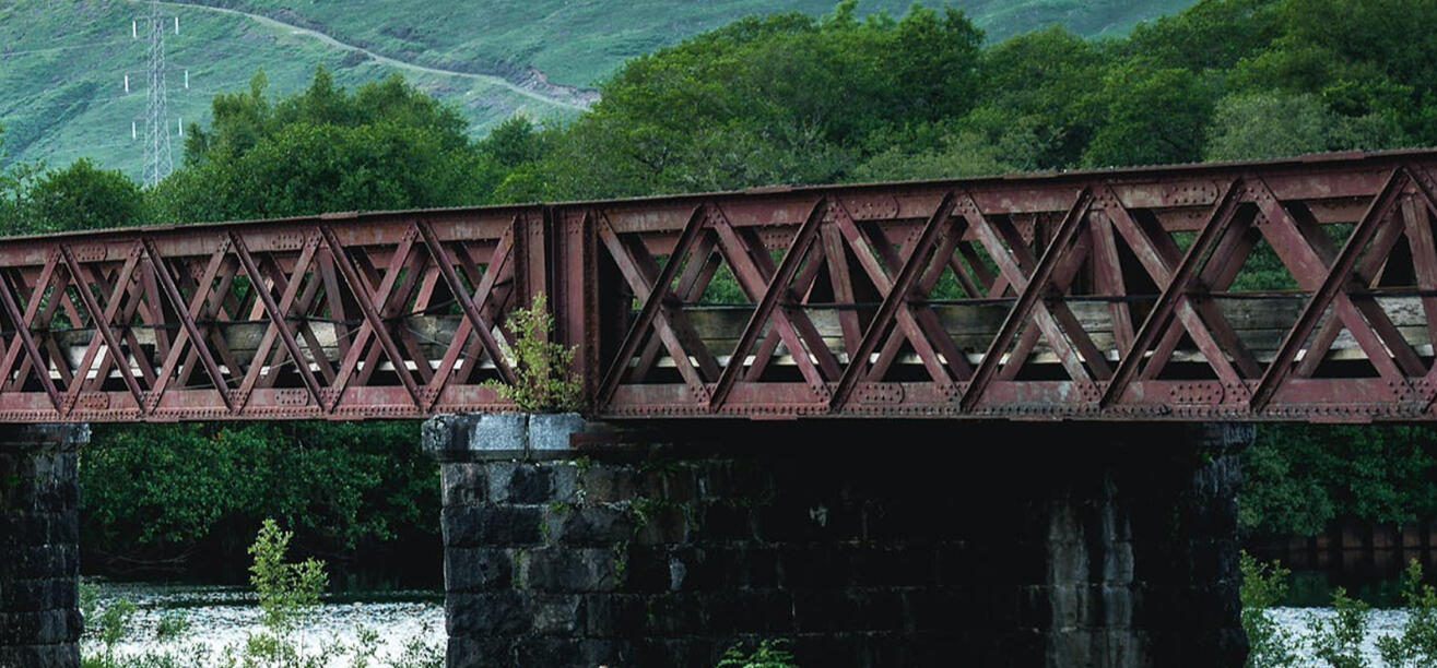 Information for Maple Guild which shows their high ranks. Maple Guild the only guild to allow it's Guilders to have any name, even if they are born in the guild. This means Copperlight does not require Maple Guilders to have a prefix-suffix name. Maple Gui